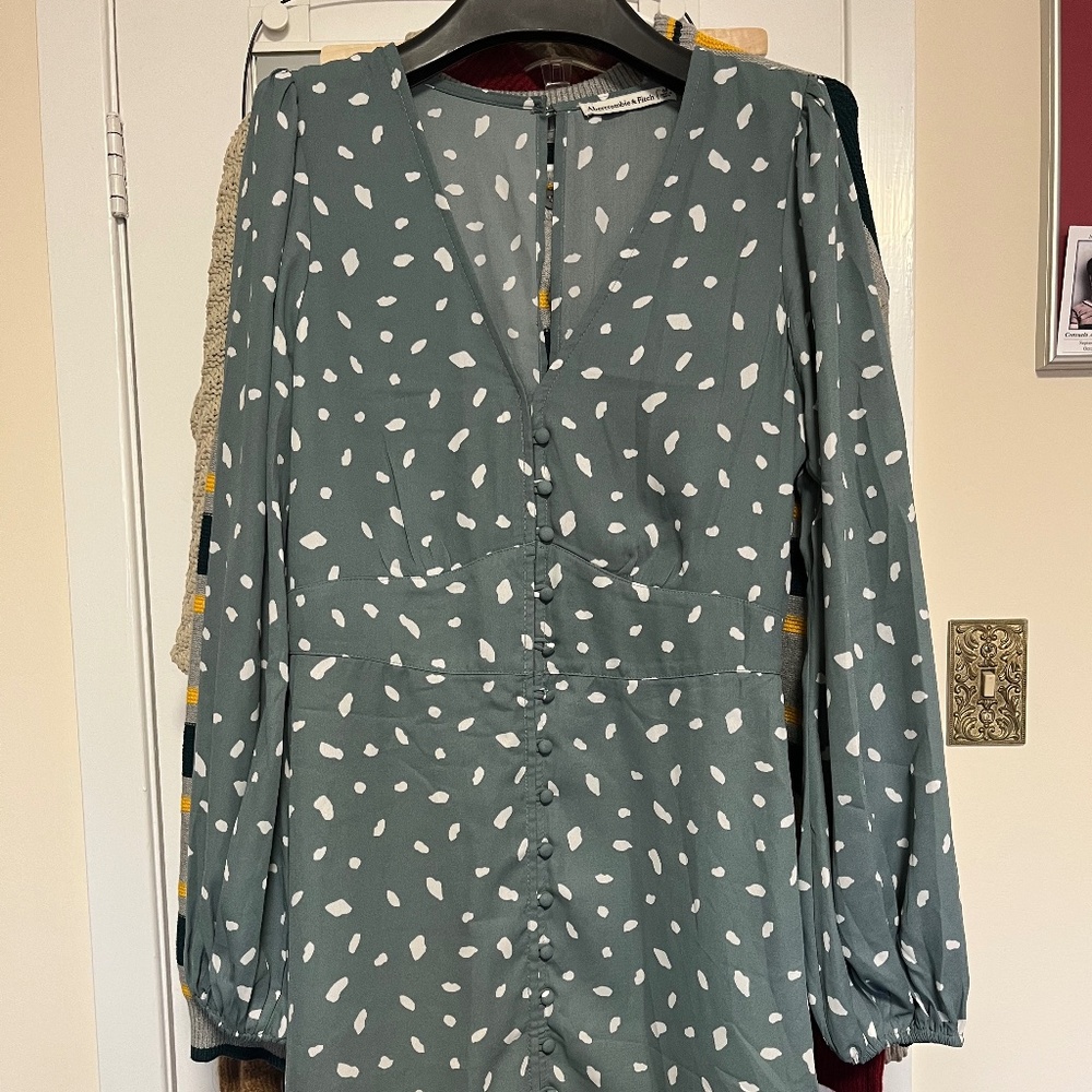 Abercrombie & Fitch L/S A-Lined Dress